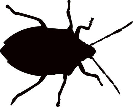 an insect body silhouette vectorのイラスト素材