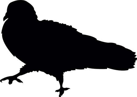 a pigeon body silhouette vectorのイラスト素材
