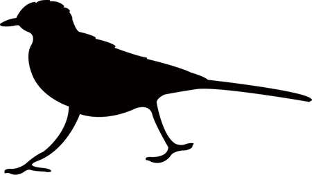 a small bird body silhouette vectorのイラスト素材