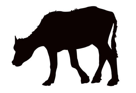 a cow silhouette vectorのイラスト素材