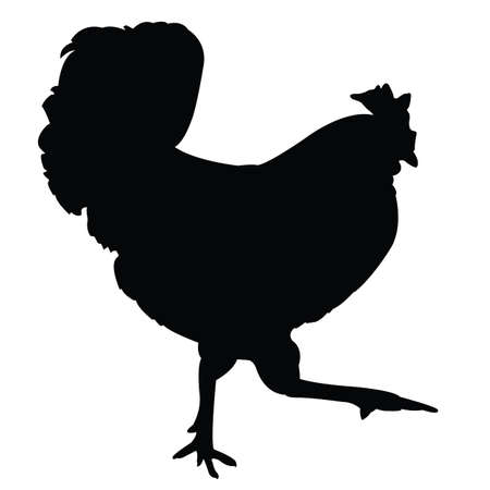 a rooster body silhouette vectorのイラスト素材