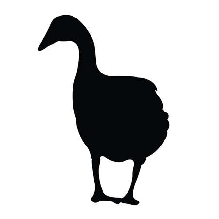 a duck body silhouette vectorのイラスト素材