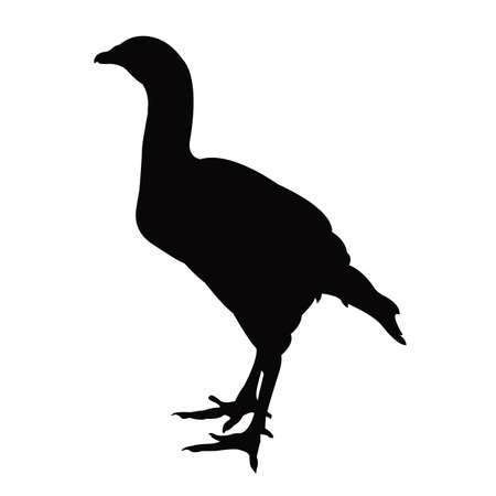 a rooster body silhouette vectorのイラスト素材