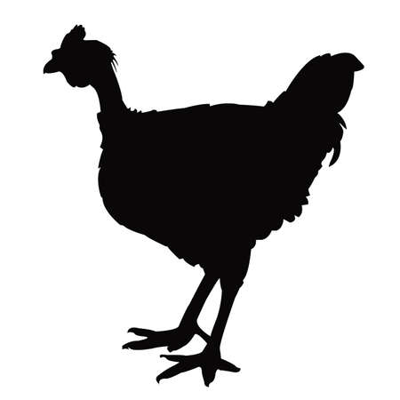 a rooster body silhouette vectorのイラスト素材