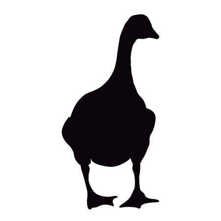 a duck body silhouette vectorのイラスト素材