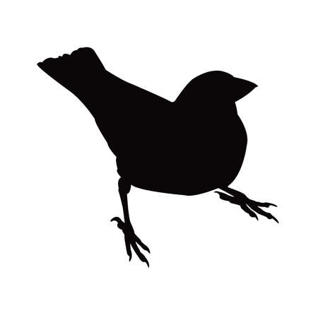 a sparrow body silhouette vectorのイラスト素材