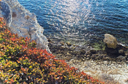 Sea coast with rocks and colorful shrubs  Nature reserve Dzhangul  Crimea  Ukraineの写真素材