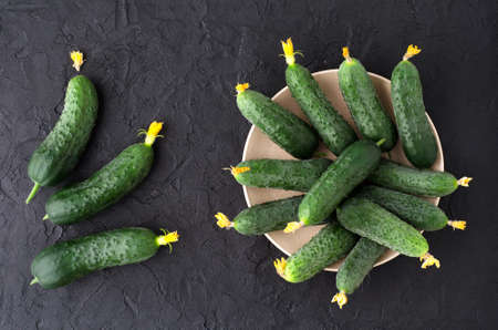 Fresh green cucumbers in plate on dark background.の写真素材