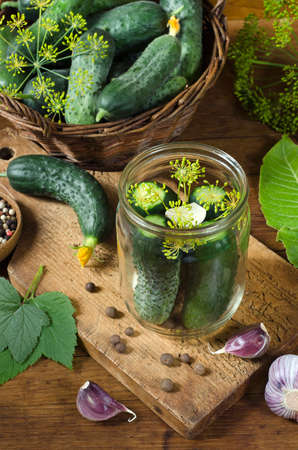 Preparation for pickling cucumbers with spices and herbs. Top view. Ð¡lose-up. Rustic style.の写真素材