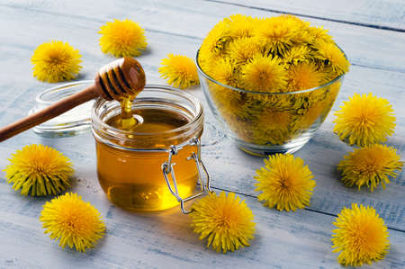 Homemade dandelion honey in jar with fresh flowers on light blue wooden background.の写真素材