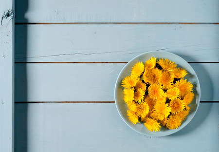 Top view on yellow dandelionsin blue plate on light blue wooden background.の写真素材