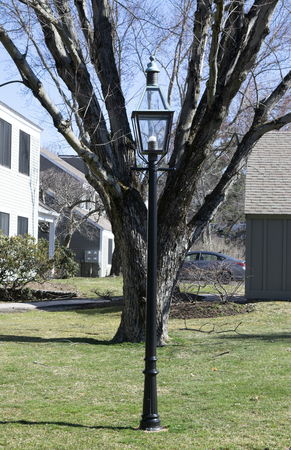 Lamp with tree in springの写真素材