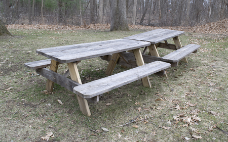 Empty park benches with trees in background in early springの写真素材
