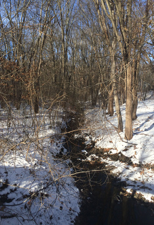 Melting creek in Concord,  Massachusettsの写真素材