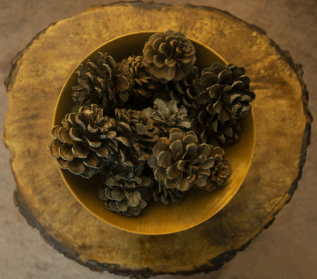 Bowl of Pine Cones on Hewn Tableの写真素材