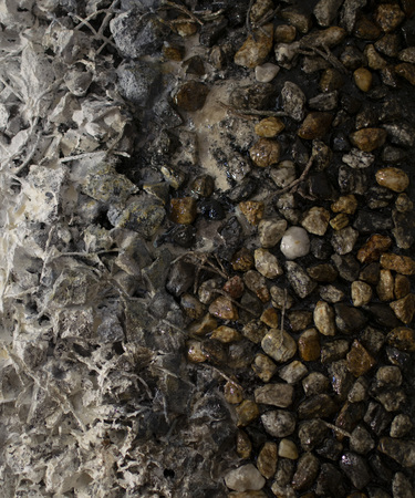 Stones melting in spring in New Englandの写真素材