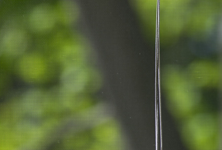 Blind pull in front of screened windowの写真素材