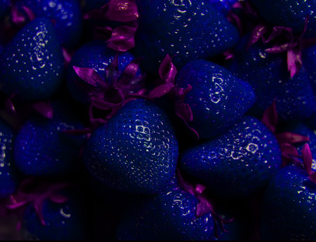 Blue Strawberriesの写真素材