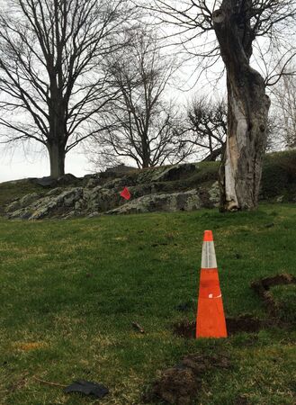 Orange and white cone in winterの写真素材
