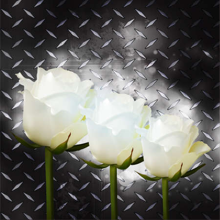 White Roses on Metallic Diamond Plate Backgroundのイラスト素材
