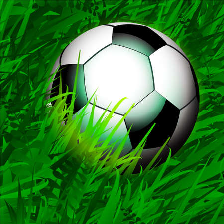 Close Up Football Soccer Over Spring Green Grassのイラスト素材