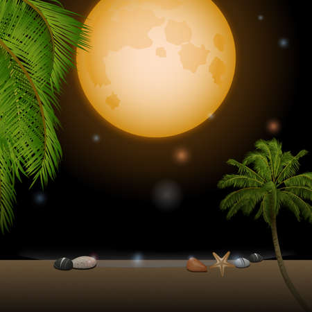 Tropical Beach Under Moonlight with Palm Trees Moon and Starsのイラスト素材