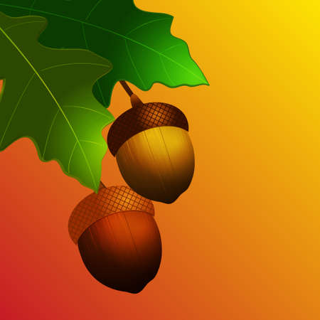 3D Illustration of Autumn Acorn with Leafs Over Yellow and Red Backgroundのイラスト素材
