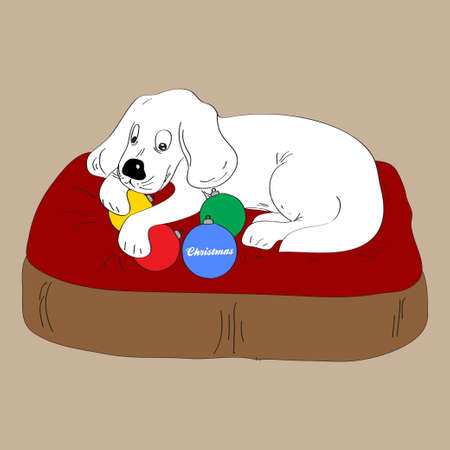 Hand Draw White Dog Puppy On Dog Bed Holding Christmas Baubles with Decorative Text Backgroundのイラスト素材