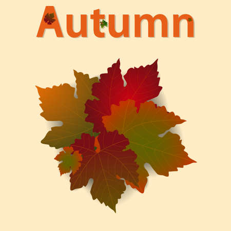 Autumn Fall Background With Leafs With Shadow and Autumn Text Decorated With Leafs and Acornsのイラスト素材