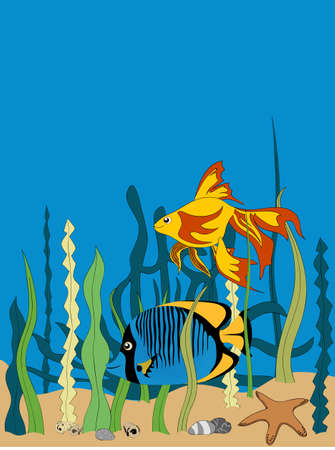 Hand Drawn Illustration Of Two Tropical Fishes Cartoons Style Swimming Underwater With Sea Vegetation Star fish Shells And Pebbles Backgroundのイラスト素材