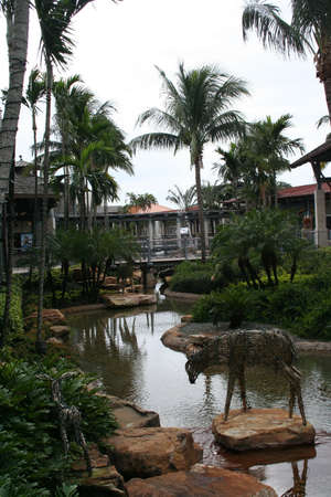 Lagoonの写真素材