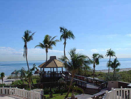 Tropical sceneの写真素材