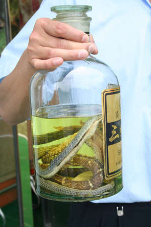 Guilin, China, snake wineの写真素材