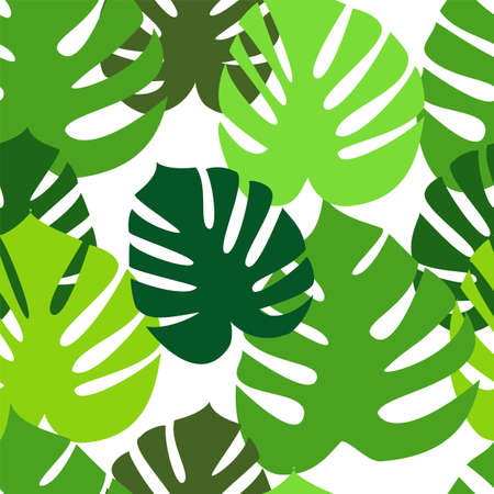 Monstera leaves seamless patternのイラスト素材