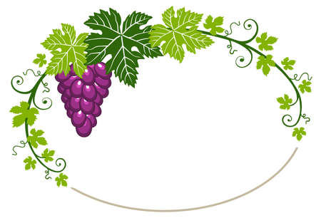 Grapes frame with leaves on white backgroundのイラスト素材