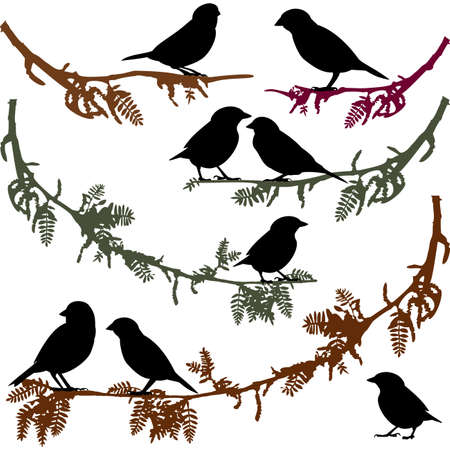 Birds on branch tree vector illustrationのイラスト素材