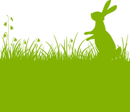 Easter bunny green backgroundのイラスト素材