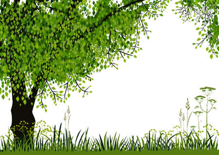 Nature background Nature background