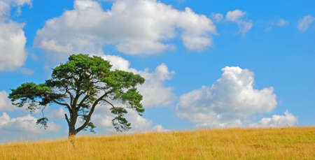 Lonelinessの写真素材