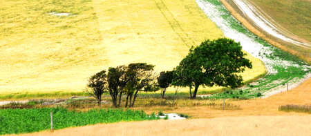 Devils Dyke 2の写真素材