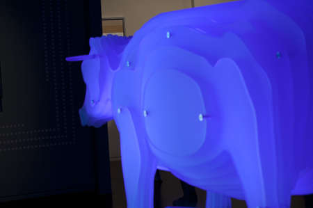 Neon Cowの写真素材