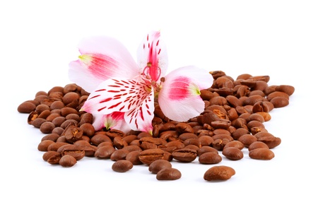 coffee beans and flower Alstrameriya on a white backgroundの写真素材