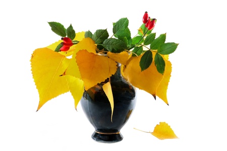 vase with a bouquet of autumn yellow leaves and rose hipsの写真素材