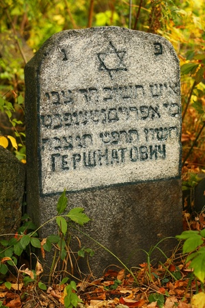 a lone headstone on a jewish cemetery surrounded by grass   1800-1850 のeditorial素材