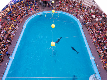 ODESSA, UKRAINE - JULY 12, 2015: Ecstatic happy spectators of all ages delight in watching vivid picture Dolphinarium August 12, 2015 in Odessa, Ukraine.のeditorial素材