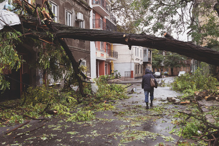 Odessa, Ukraine - October 12, 2016: Hurricane CHRISTIE. Heavy rain and gale - force gusts of wind caused accident - old tree during storm fell on car and destroyed house. Strong storm with rainのeditorial素材