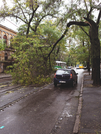 Odessa, Ukraine - October 12, 2016: Hurricane CHRISTIE. Heavy rain and gale - force gusts of wind caused accident - old tree during storm fell on car and destroyed house. Strong storm with rainのeditorial素材