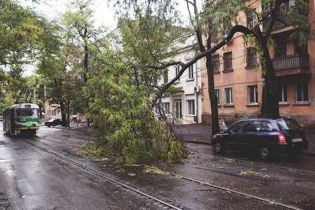 Odessa, Ukraine - October 12, 2016: Hurricane CHRISTIE. Heavy rain and gale - force gusts of wind caused accident - old tree during storm fell on car and destroyed house. Strong storm with rainのeditorial素材