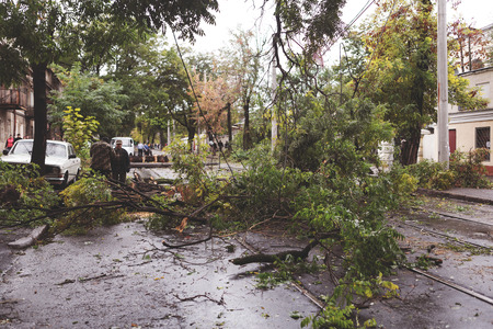 Odessa, Ukraine - October 12, 2016: Hurricane CHRISTIE. Heavy rain and gale - force gusts of wind caused accident - old tree during storm fell on car and destroyed house. Strong storm with rainのeditorial素材