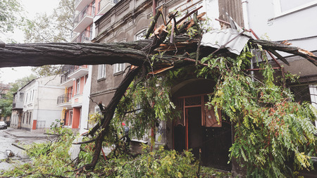 Odessa, Ukraine - October 12, 2016: Hurricane CHRISTIE. Heavy rain and gale - force gusts of wind caused accident - old tree during storm fell on car and destroyed house. Strong storm with rainのeditorial素材